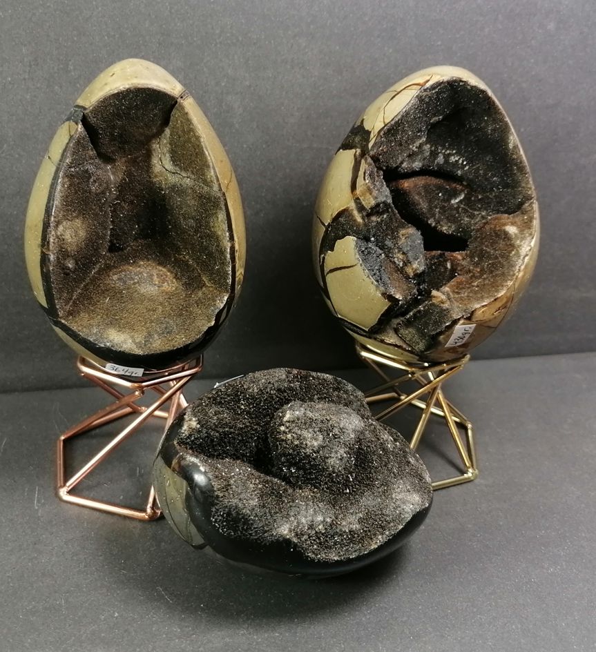 Septaria "Drakägg" - Ägg Form - 2