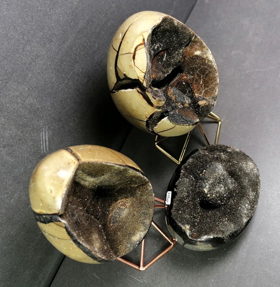 Septaria "Drakägg" - Ägg Form - 4