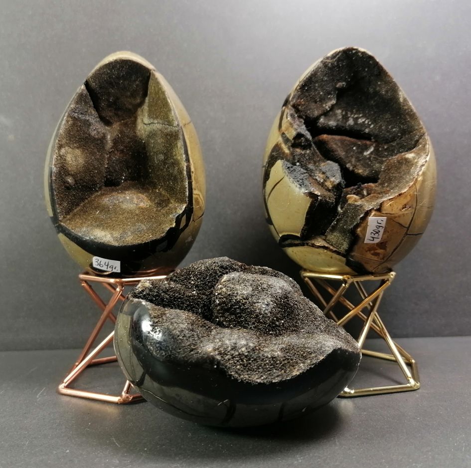 Septaria "Drakägg" - Ägg Form - 3