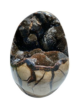 Septaria "Drakägg" - Ägg Form