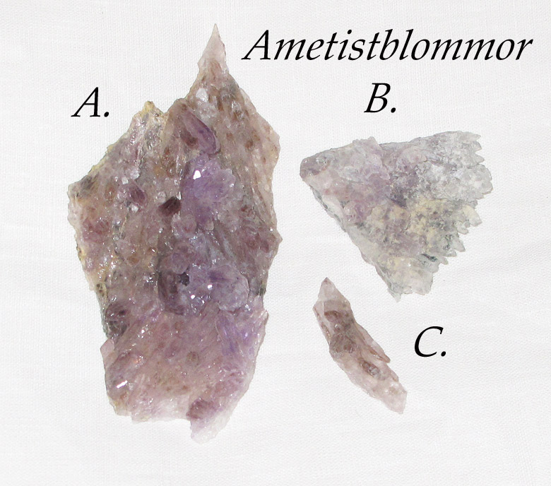 Ametistblommor
