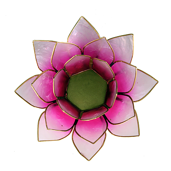 lotuslykta guldmetall rosa