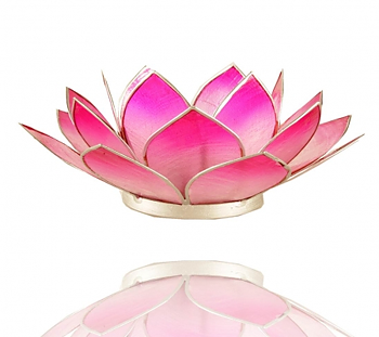 Lotuslyktan i snäckskal - Rosa