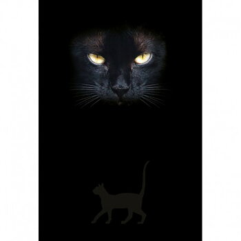 anteckningsbok svart katt