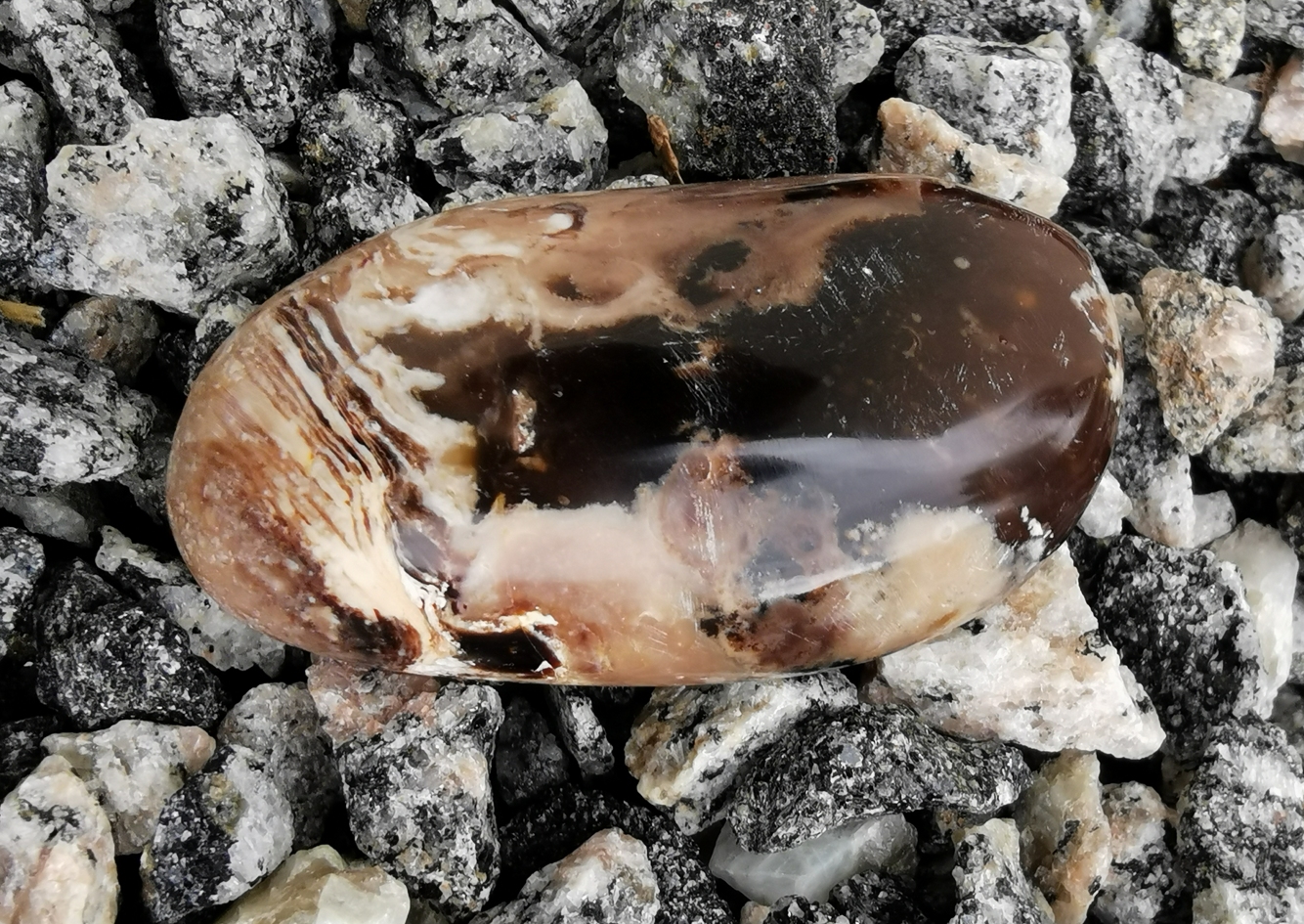 Pebbles "No Worry Stone" - Svart Opal - 5