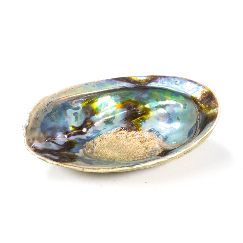 Paua snäckskal - Smudgeskål - 2