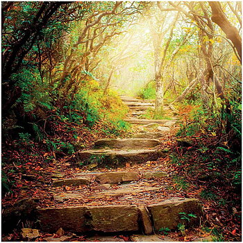 Dubbla vykort - The road ahead 