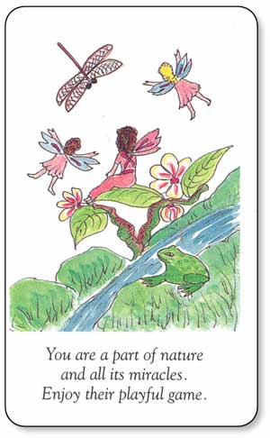 Wisdom of Elves and Fairies , Messages of the Miraculous  by A.G. Muller and Gayan Winter - 4