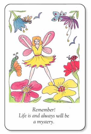 Wisdom of Elves and Fairies , Messages of the Miraculous  by A.G. Muller and Gayan Winter - 2