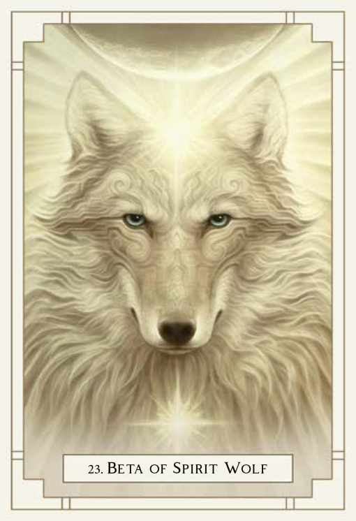 White Light Oracle,  Medicines of White Light - Alana Fairchild Illustrated by A. Andrew Gonzalez - 4