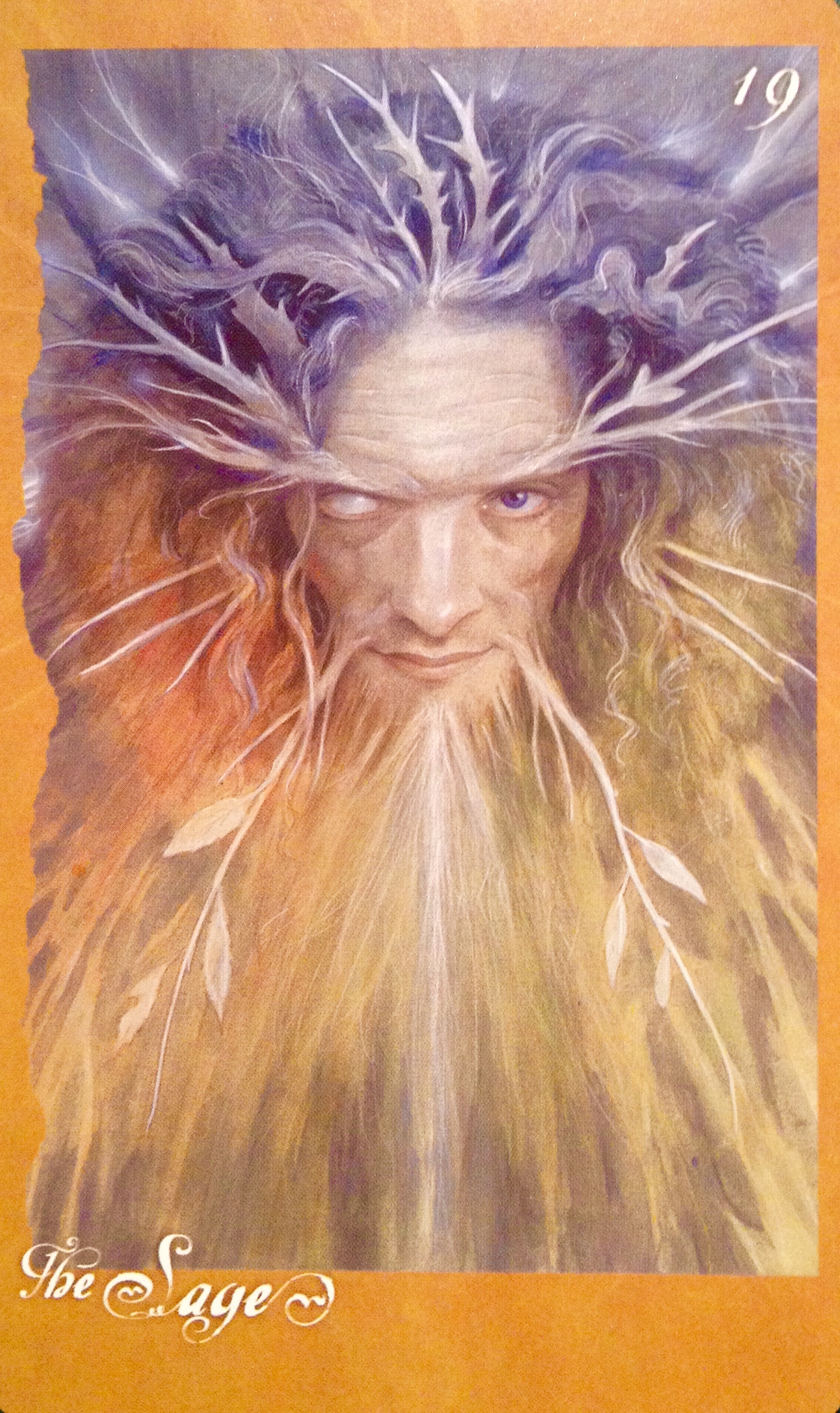 The Faeries’ Oracle by Brian Froud - 2