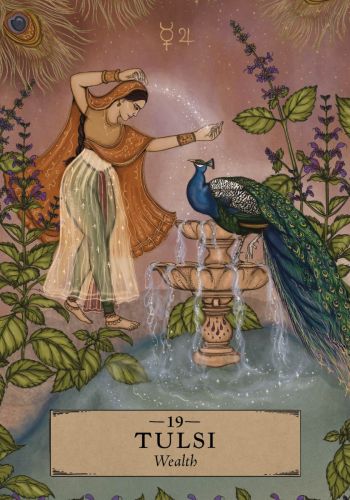The Herbal Astrology Oracle -  Adriana Ayales - Pocket - 3