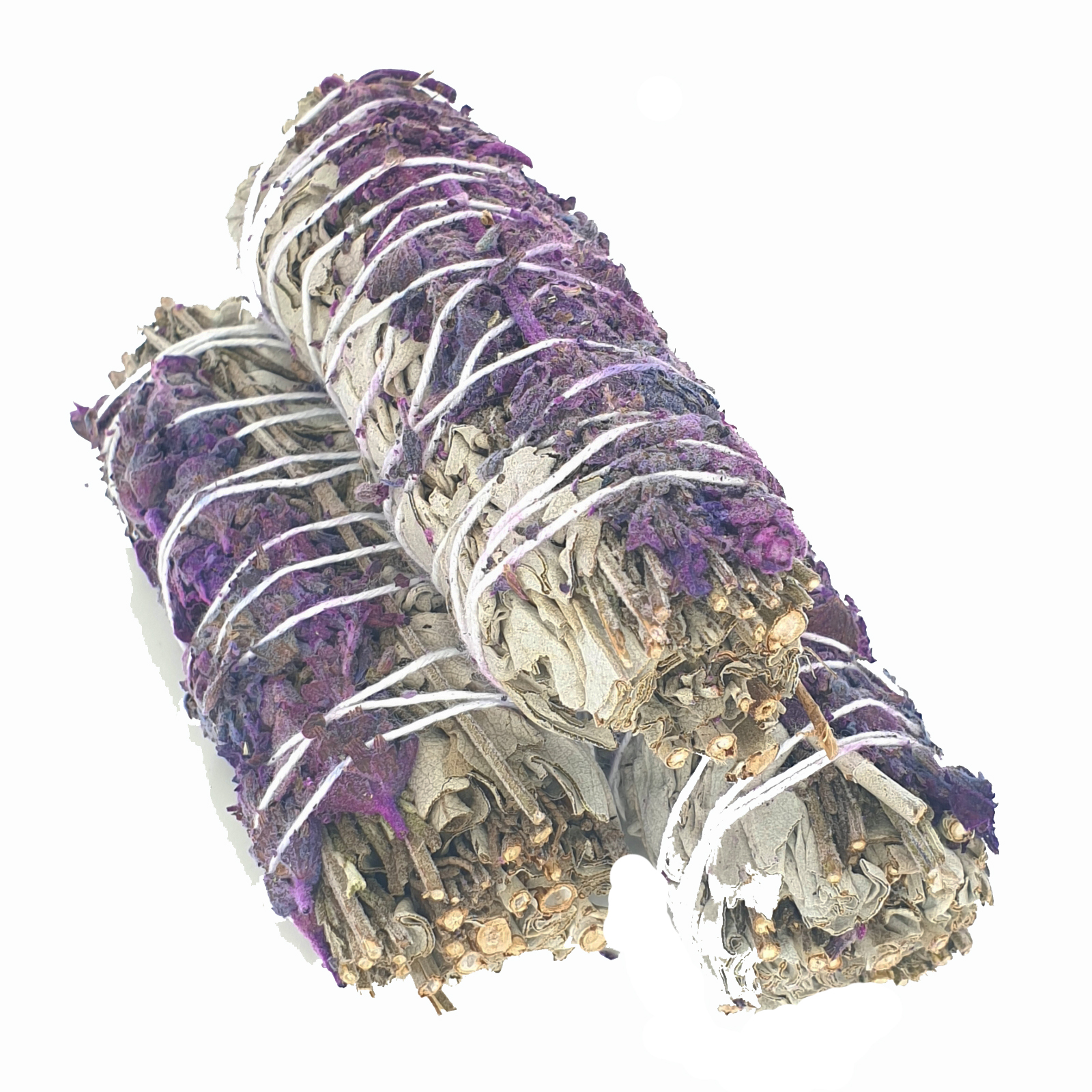  Vit Salvia / Lavendel Smudge  - 12cm