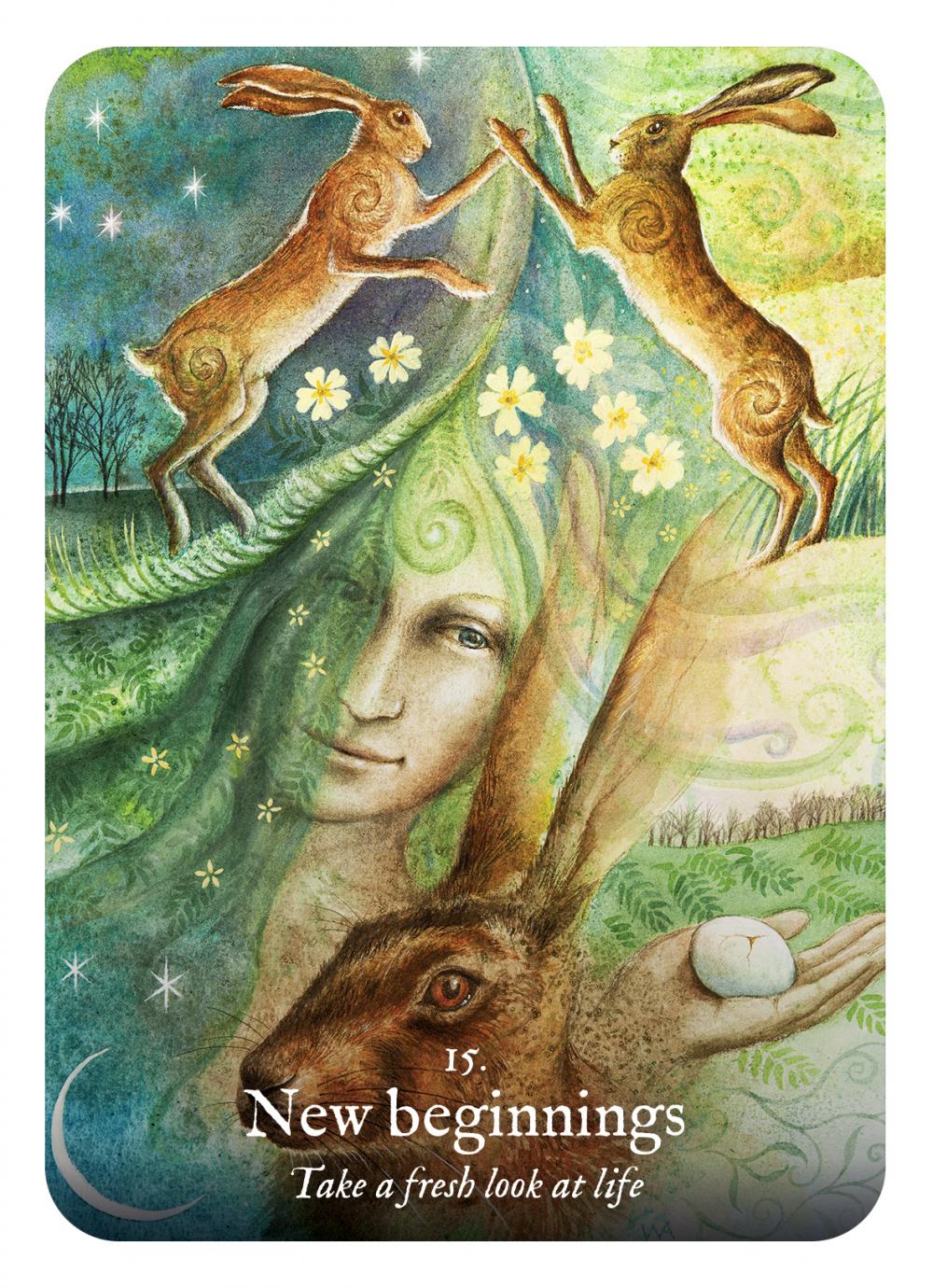 Goddess Dream Oracle cards with book - Wendy Andrew  - 3