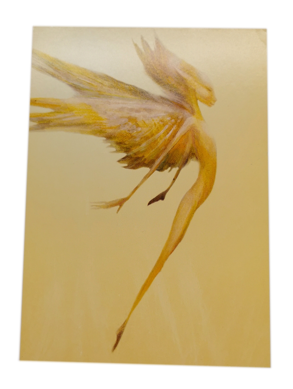 Brian Froud, Vykort -  Dawn Faery
