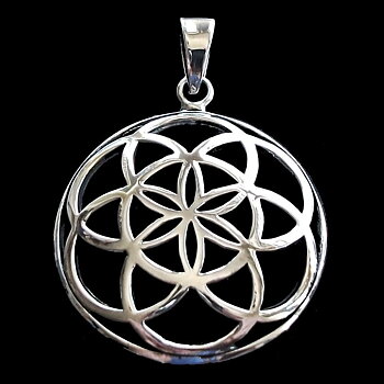 Seed of Life Blomma Silver Hänge - Domed