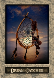 SHAMAN'S PATH MESSAGE CARDS -  Dr. Steven Farmer Illustrated by Beau Raven  - 5
