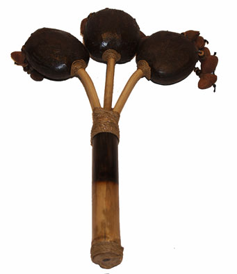 Maraca djungel