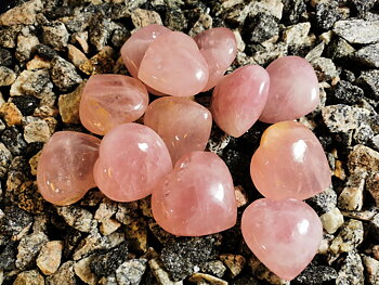 Mindre Rosenkvarts Hjärta , Madagaskar 