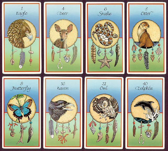 Medicine Cards Deck/Book Set - Carson/Sams - 2
