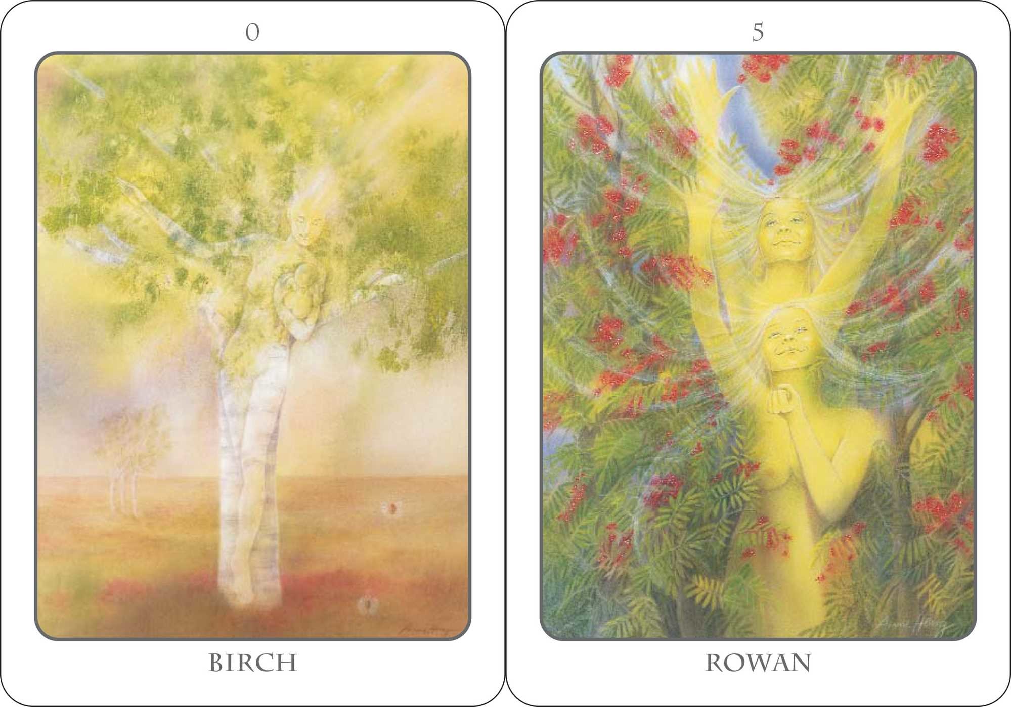 The Tree Angel Oracle Deck - Fred Hageneder - 2