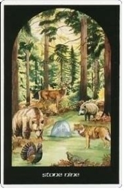 The COMPLETE ARTHURIAN TAROT Includes classic deck with revised and updated coursebook by Caitlin & John Matthews, Boxed Set - Kort med Bok - 5
