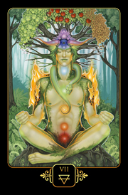Dreams of gaia Tarot by Ravynne Phelan, Boxed Set -  Deck and Book - 5