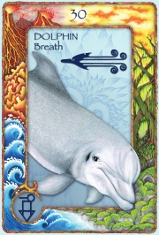 WORLD ANIMAL DREAMING ORACLE - Expanded Edition Oracle Cards with Guidebook, Scott Alexander King - 4