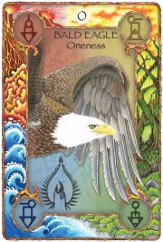 WORLD ANIMAL DREAMING ORACLE - Expanded Edition Oracle Cards with Guidebook, Scott Alexander King - 2