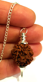 Rudraksha Frö kula Pendel - 3