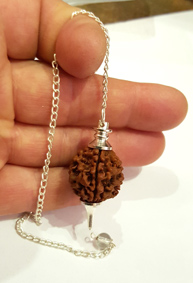 Rudraksha Frö kula Pendel - 2