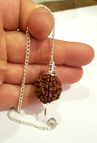 Rudraksha Frö kula Pendel