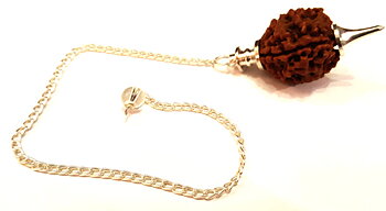 Rudraksha Frö kula Pendel