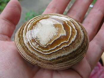 Aragonit Ägg