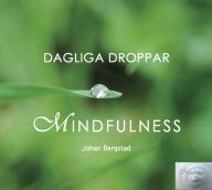 Dagliga droppar mindfulness av Johan Bergstad - CD