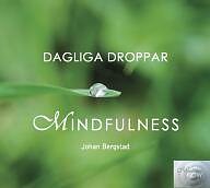 Dagliga droppar mindfulness av Johan Bergstad - CD