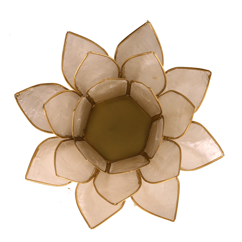 Lotuslyktan i snäckskal - Pearl Gold - 2