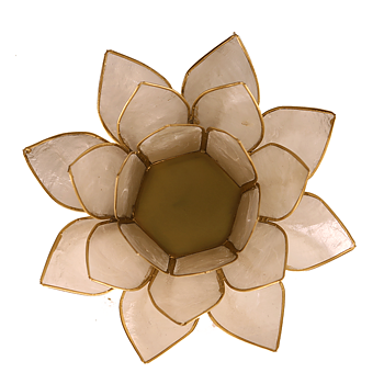 Lotuslyktan i snäckskal - Pearl Gold