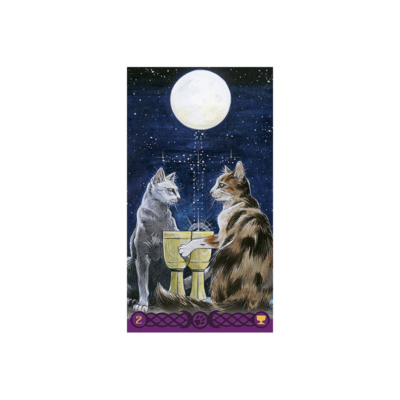  Tarot of Pagan Cats -  Lo Scarabeo - 4