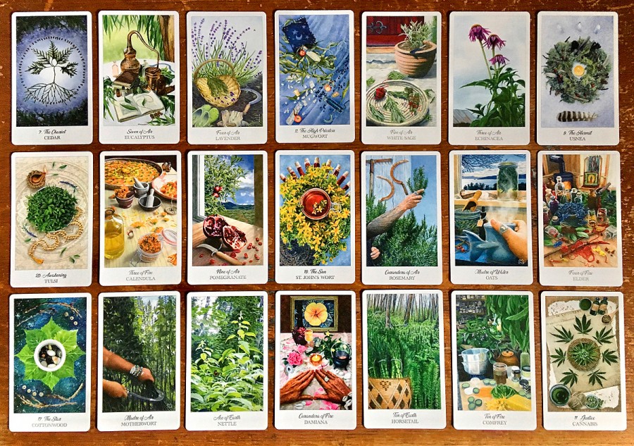 The Herbcrafter’s Tarot av Powell Colbert Joanna, Boxed Set - Kort med Bok - 3