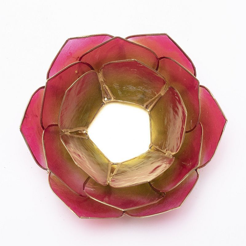 Lotuslyktan i snäckskal - guldmetall - Rosa/Grön - 2