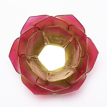 Lotuslyktan i snäckskal - guldmetall - Rosa/Grön