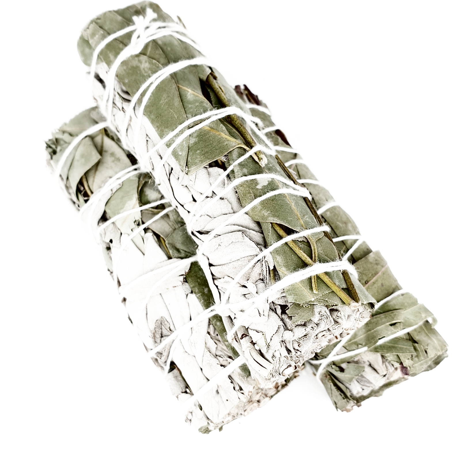  Vit Salvia / Eucalyptus  Smudge 