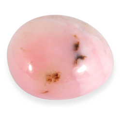 Rosa Opal - Trumlad - A kvalitet - 3