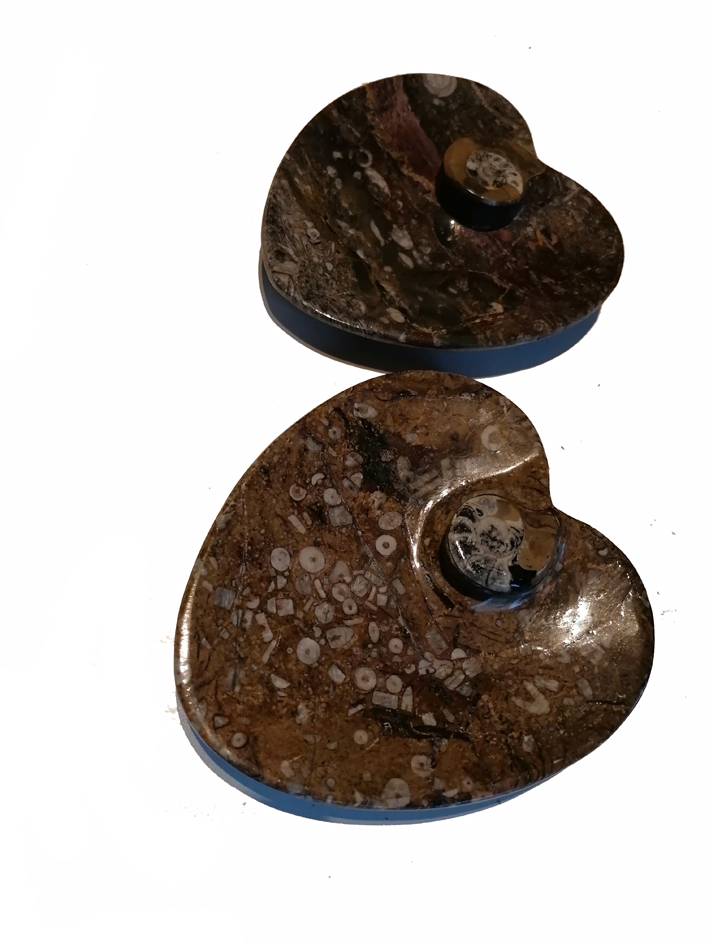 Fossil Sten Skål, Hjärta  - 13cm - 2