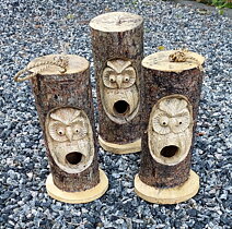 Fågelbo