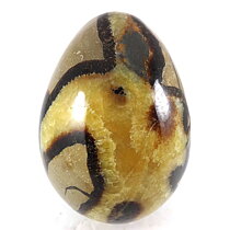 Septaria