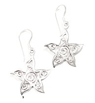 Silver Örhängen