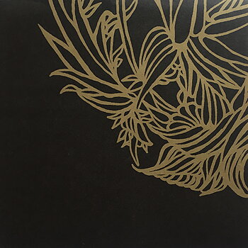 LOGH - The Raging Sun 7 inch