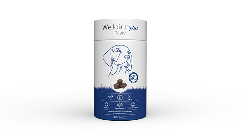 WeJoint+ TASTY  Large 30 soft-chews